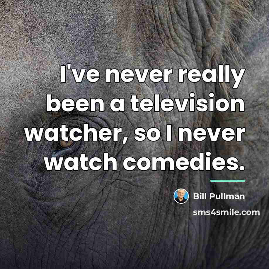 “I've never really been a television watcher, so I never…” quote by Bill Pullman