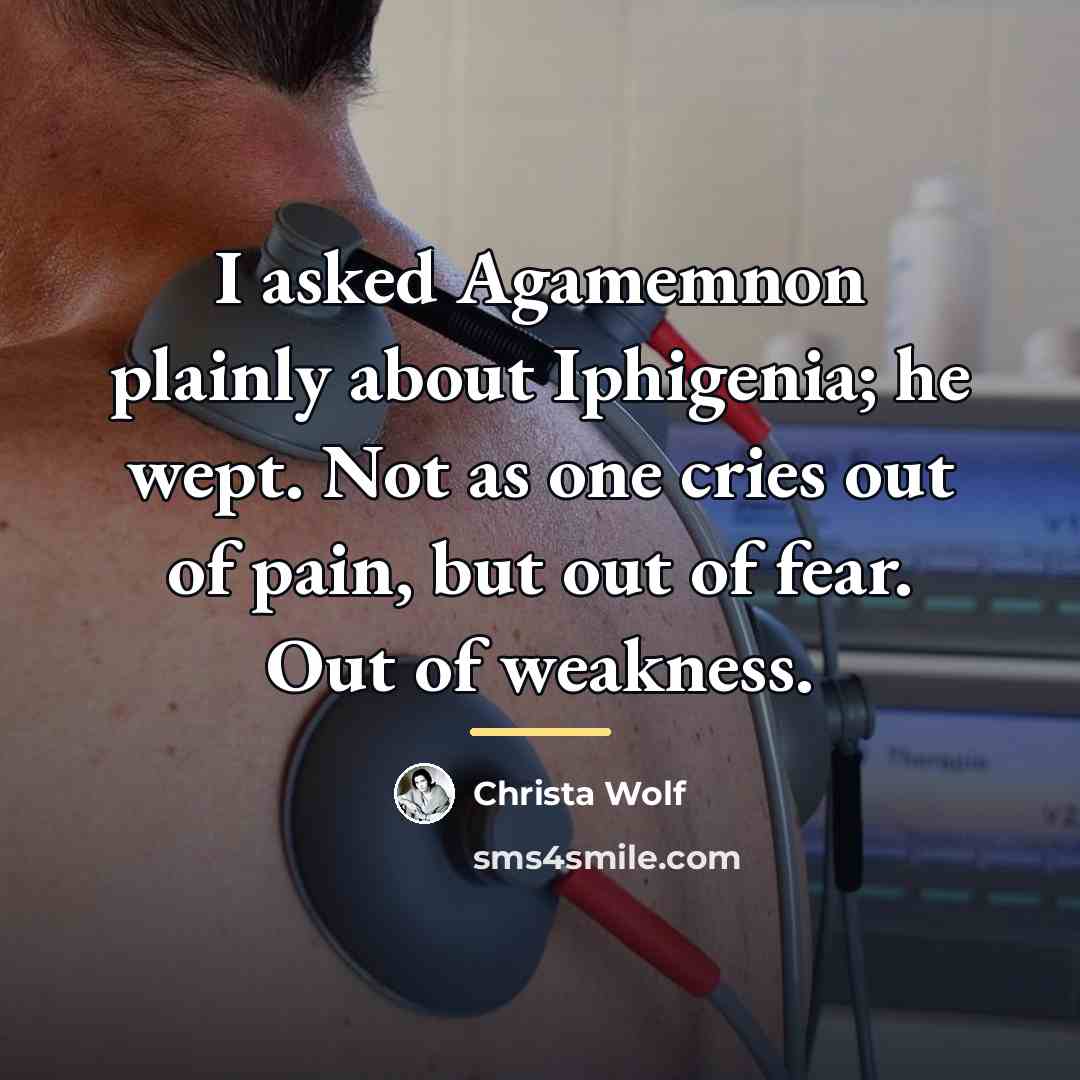 “I asked Agamemnon plainly about Iphigenia; he wept. Not as…” quote by Christa Wolf