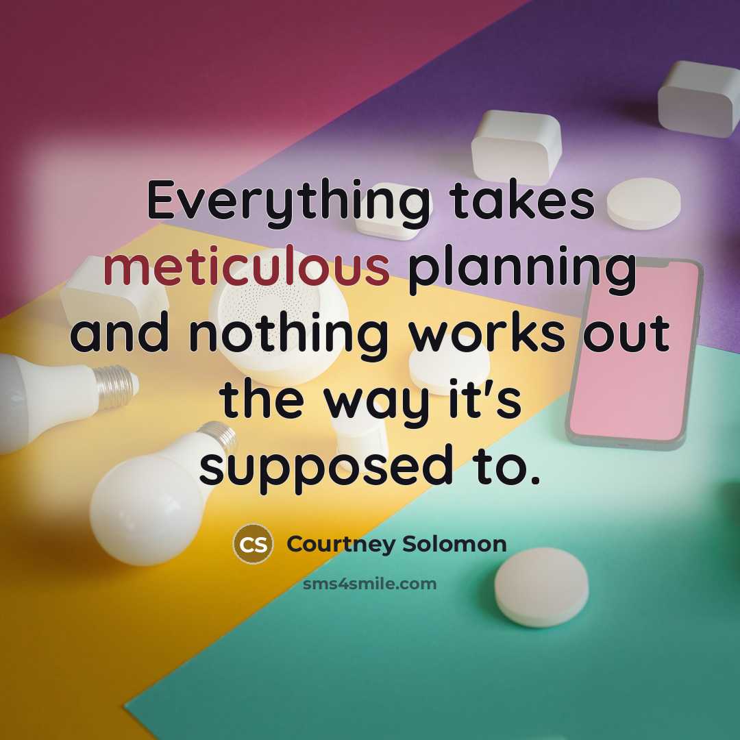 “Everything takes meticulous planning and nothing works out the way…” quote by Courtney Solomon