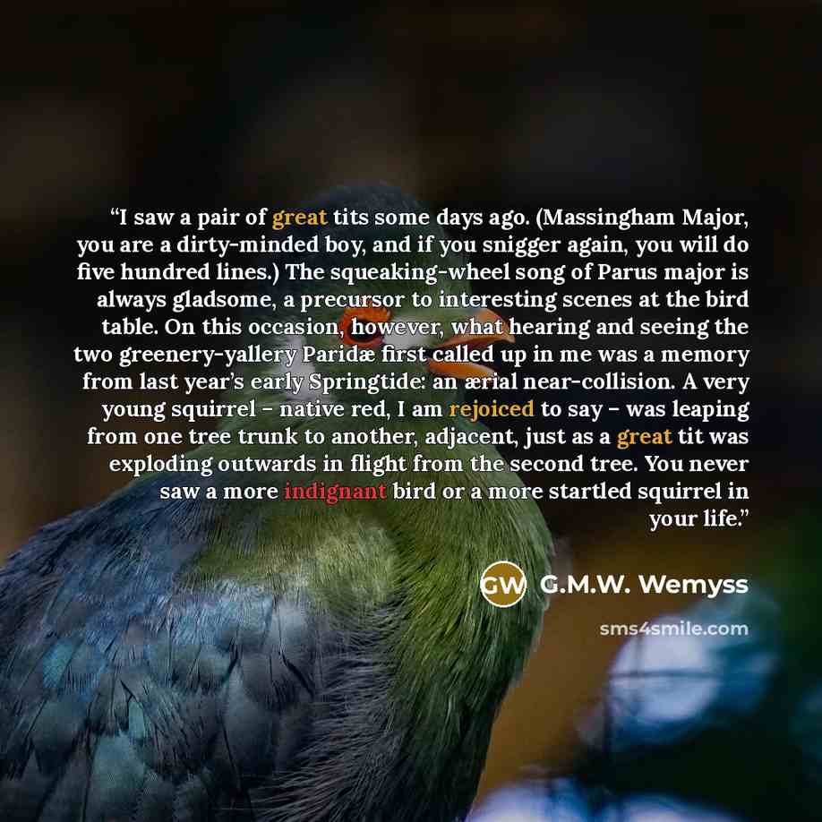 “I saw a pair of great tits some days ago. (Massingham Major, you are a dirty-minded boy, and if you snigger again, you will do five hundred lines.) The squeaking-wheel song of Parus major is always gladsome, a precursor to interesting scenes at the bird table. On this occasion, however, what…” quote by G.M.W. Wemyss