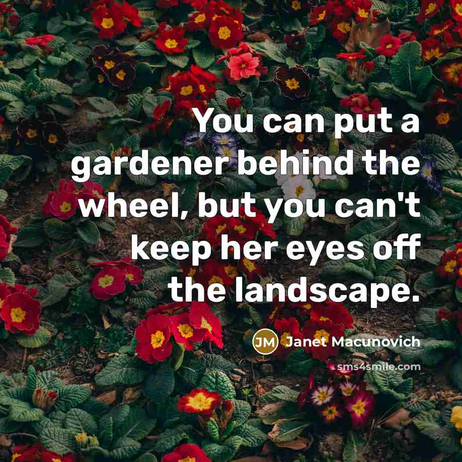“You can put a gardener behind the wheel, but you…” quote by Janet Macunovich