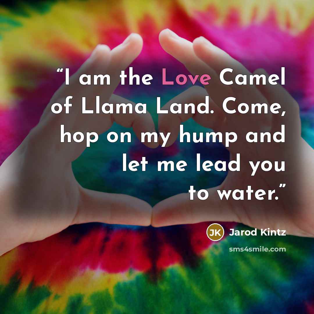 “I am the Love Camel of Llama Land. Come, hop on my hump and let me lead you to water.” quote by Jarod Kintz