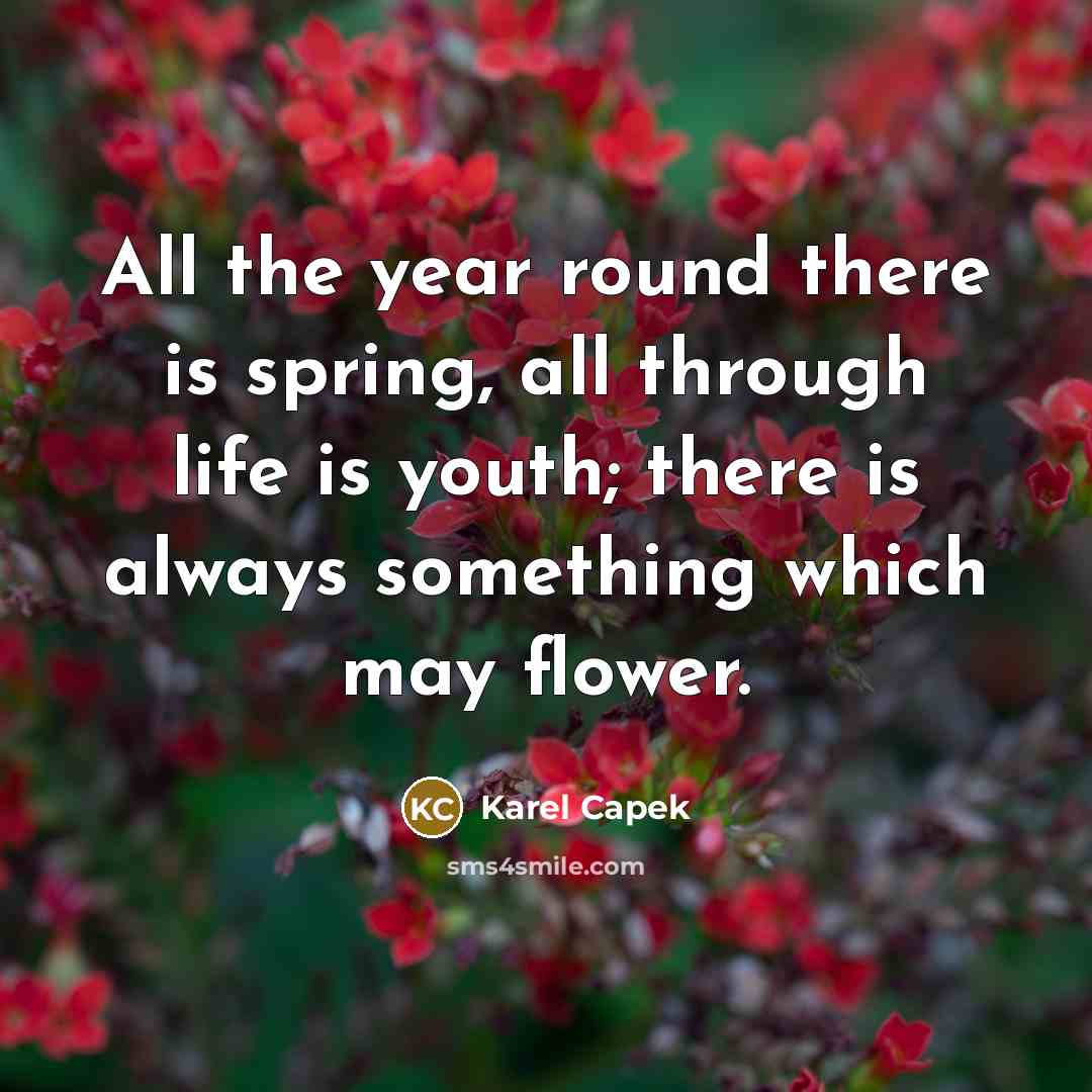 “All the year round there is spring, all through life…” quote by Karel Capek