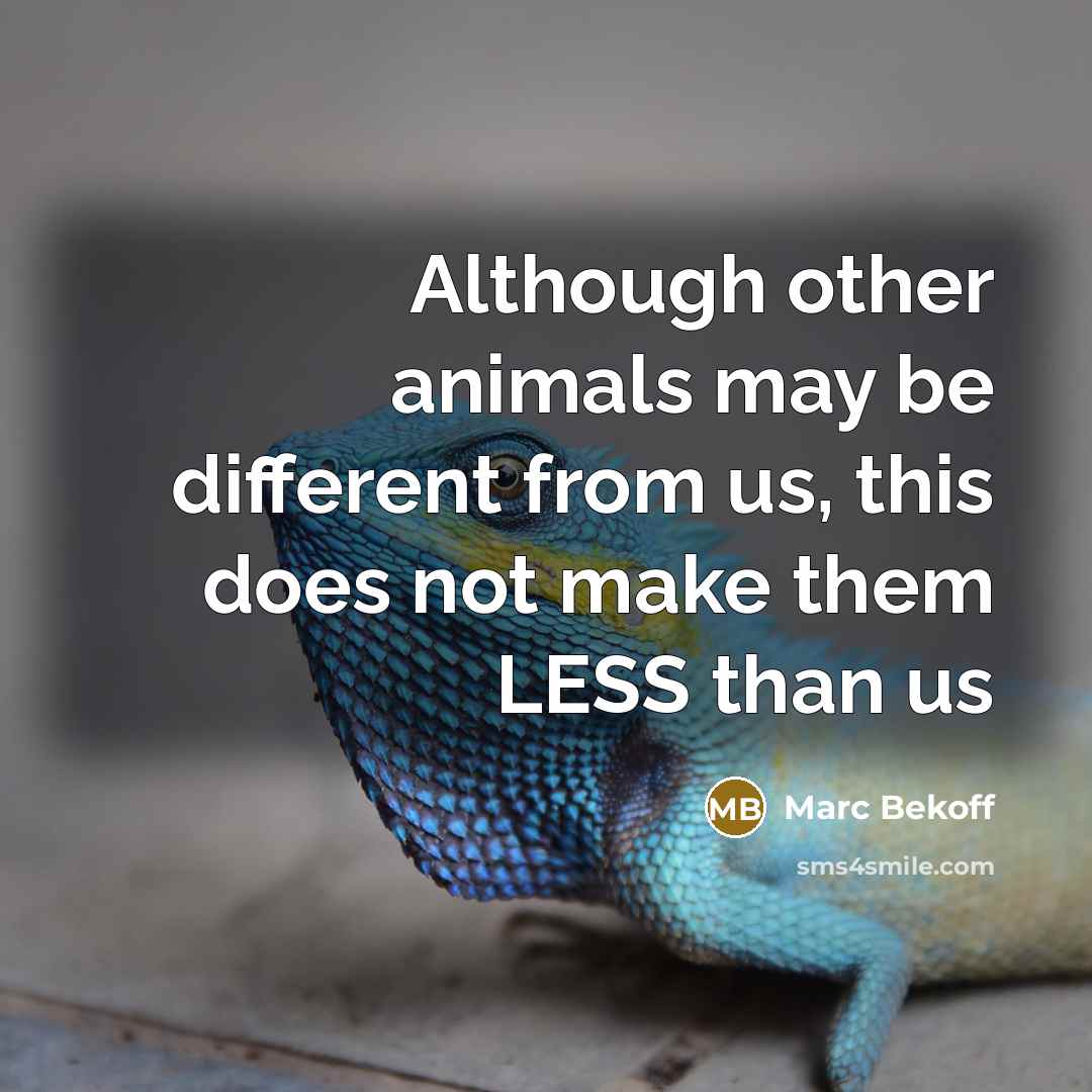 “Although other animals may be different from us, this does…” quote by Marc Bekoff