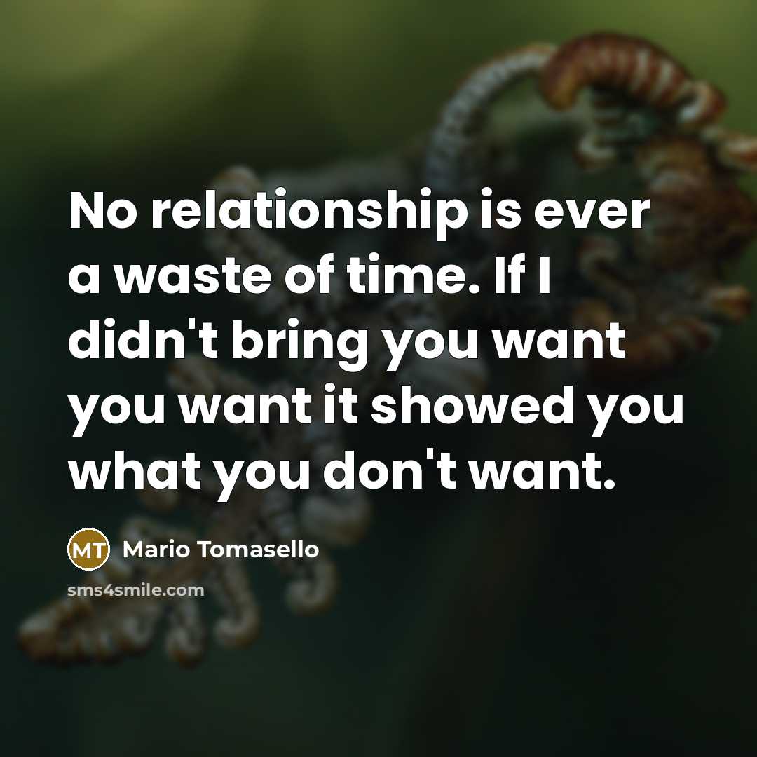 “No relationship is ever a waste of time. If I…” quote by Mario Tomasello