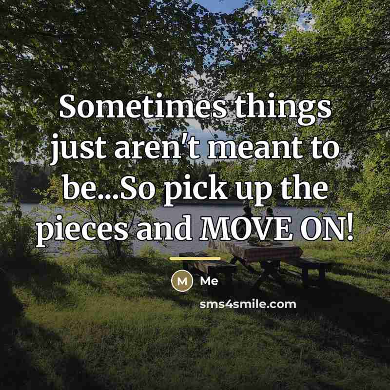 “Sometimes things just aren't meant to be...So pick up the…” quote by Me