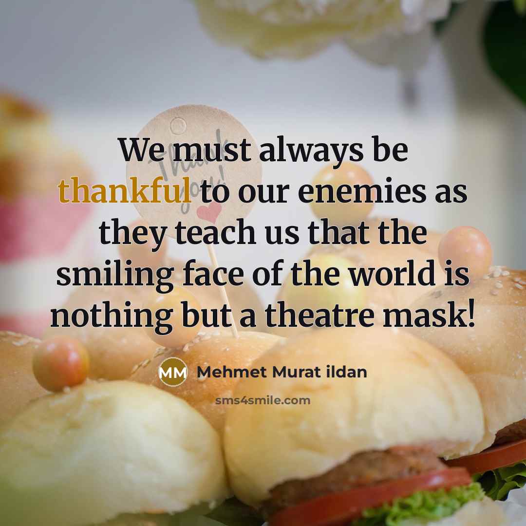 “We must always be thankful to our enemies as they…” quote by Mehmet Murat Ildan