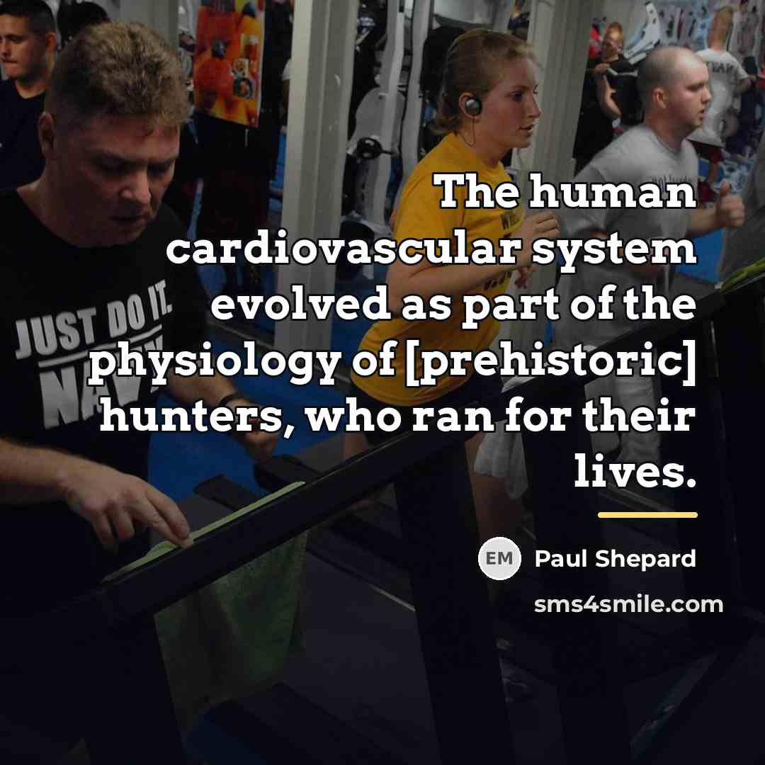 “The human cardiovascular system evolved as part of the physiology…” quote by Paul Shepard