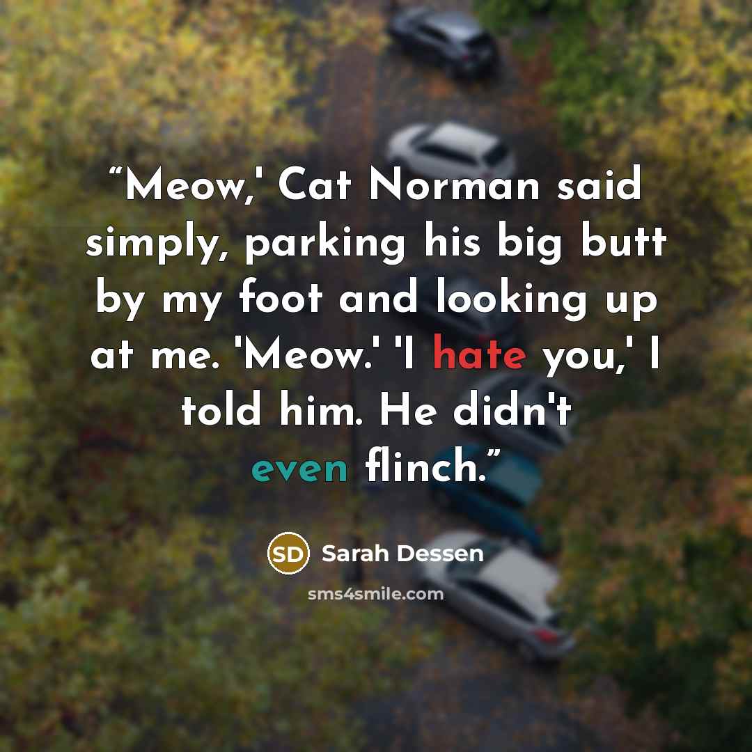 “Meow,' Cat Norman said simply, parking his big butt by my foot and looking up at me. 'Meow.' 'I hate you,' I told him. He didn't even flinch.” quote by Sarah Dessen