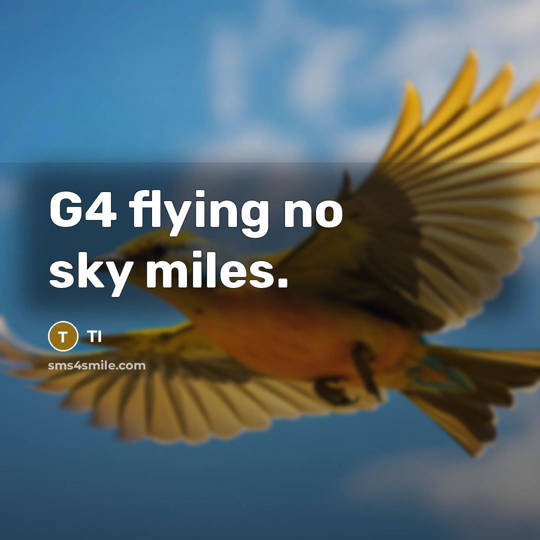 “G4 flying no sky miles.…” quote by TI