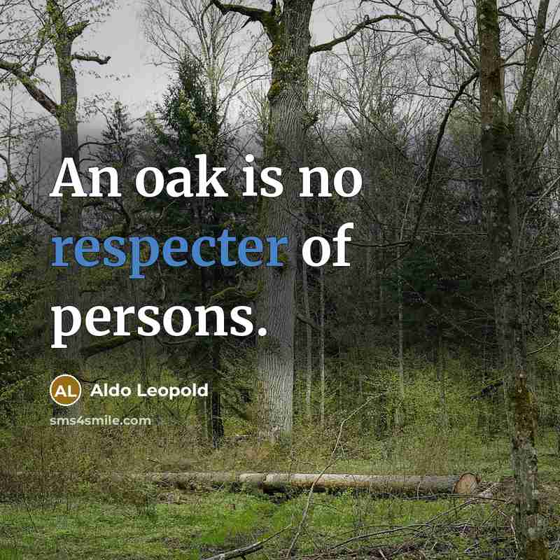 “An oak is no respecter of persons.” quote by Aldo Leopold