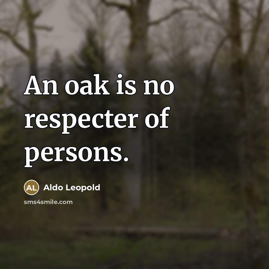 “An oak is no respecter of persons.…” quote by Aldo Leopold