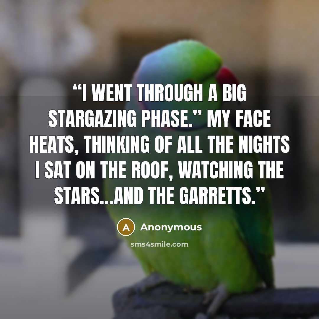 “I went through a big stargazing phase.” My face heats, thinking of all the nights I sat on the roof, watching the stars…and the Garretts.” quote by Anonymous