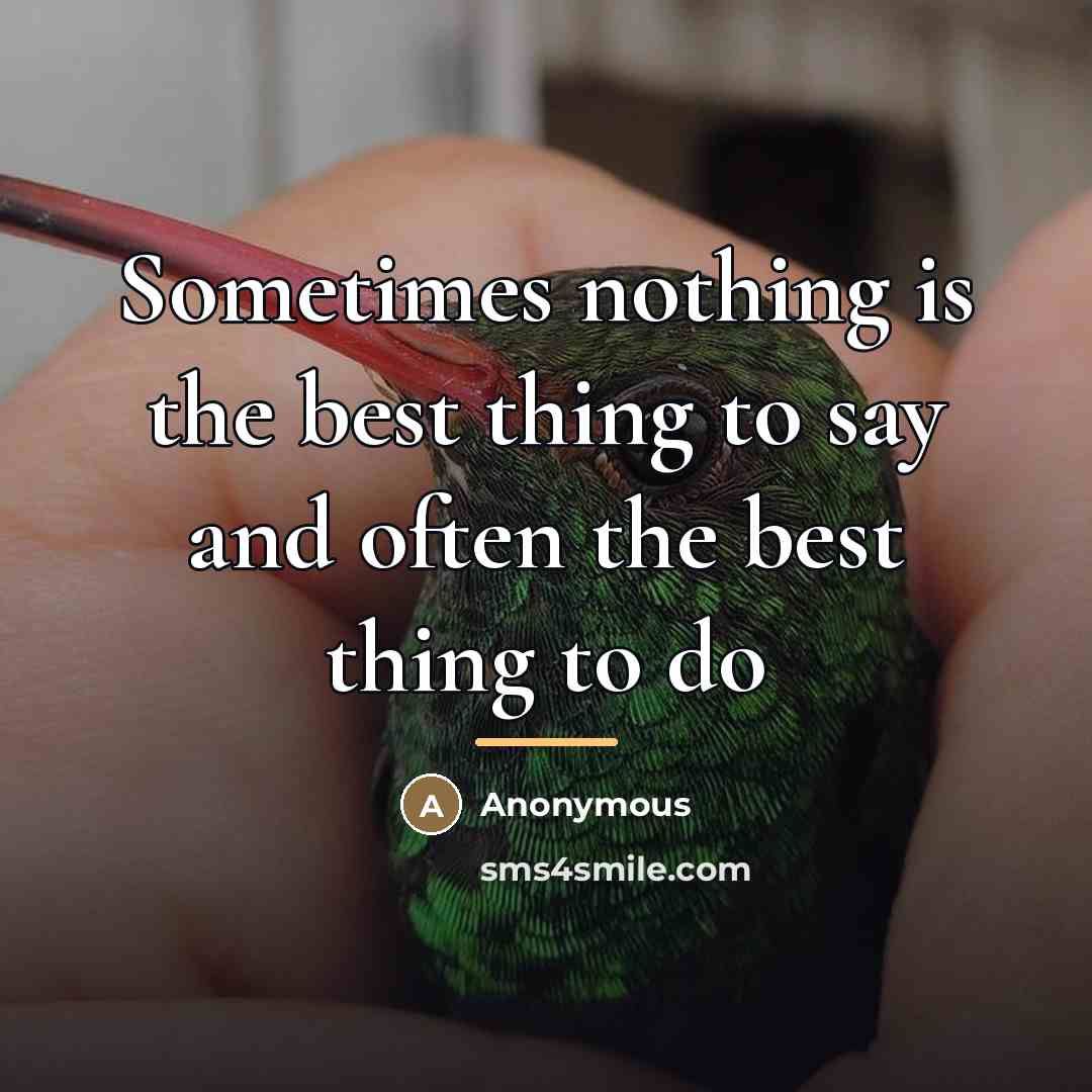 “Sometimes nothing is the best thing to say and often…” quote by Anonymous