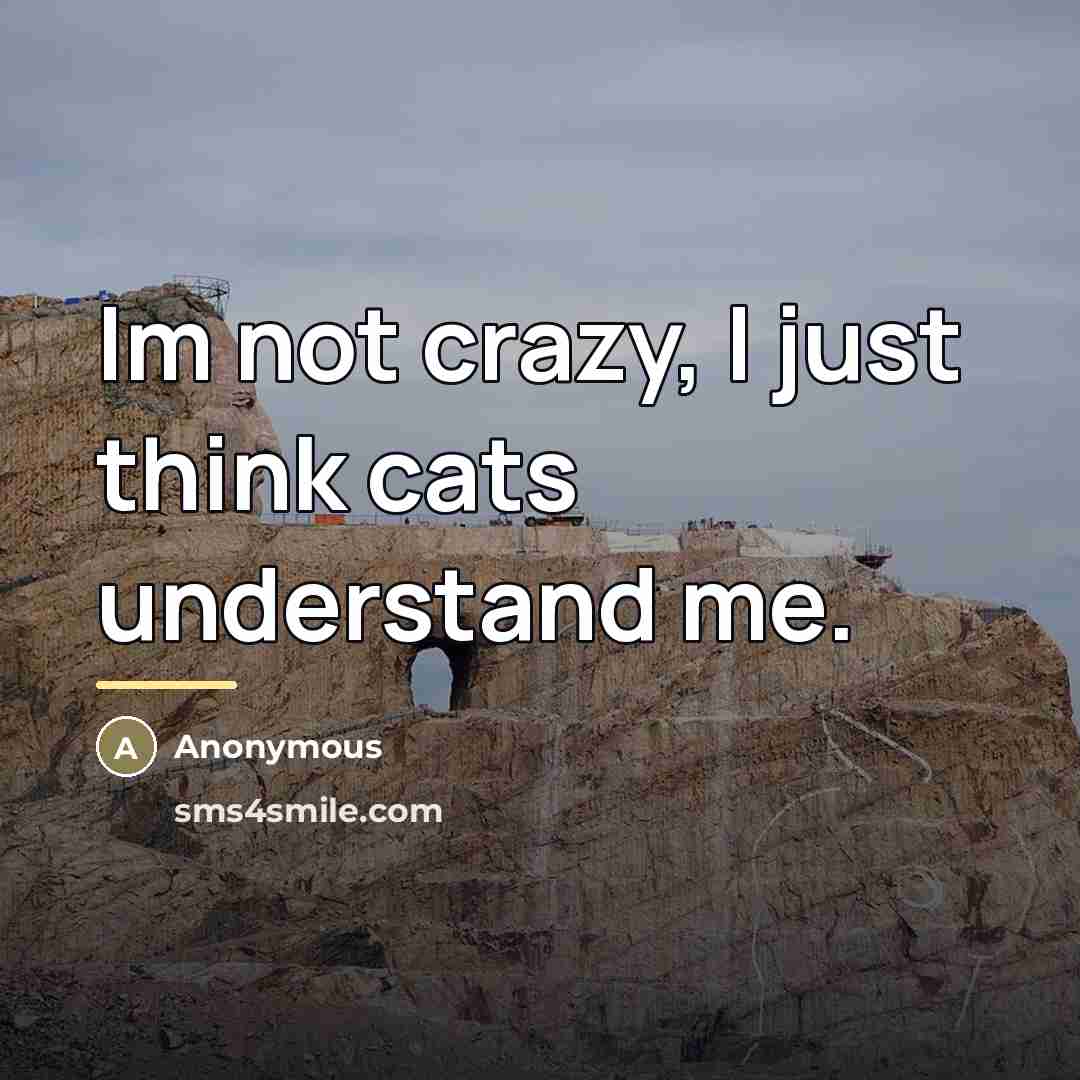 “Im not crazy, I just think cats understand me.…” quote by Anonymous