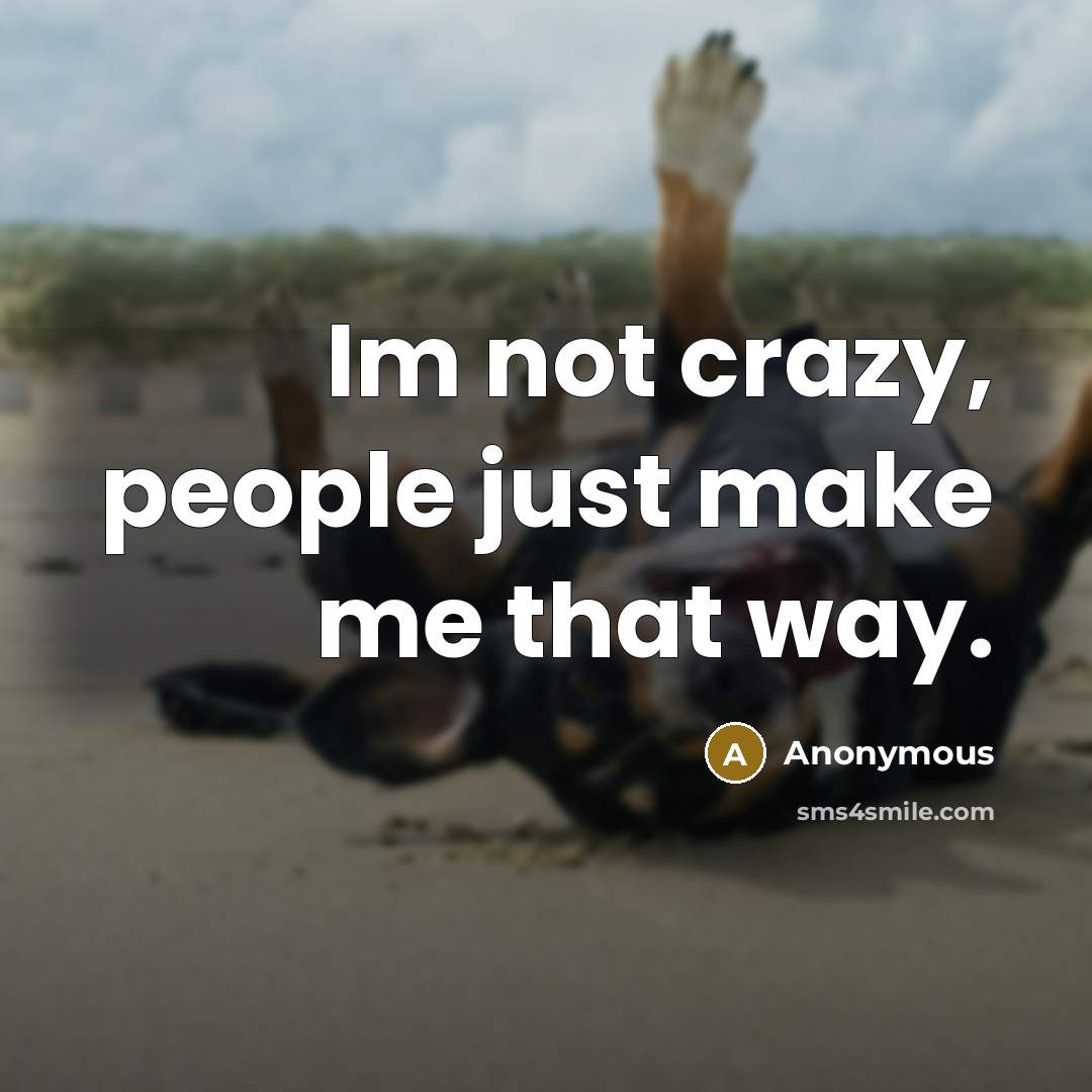 “Im not crazy, people just make me that way.” quote by Anonymous