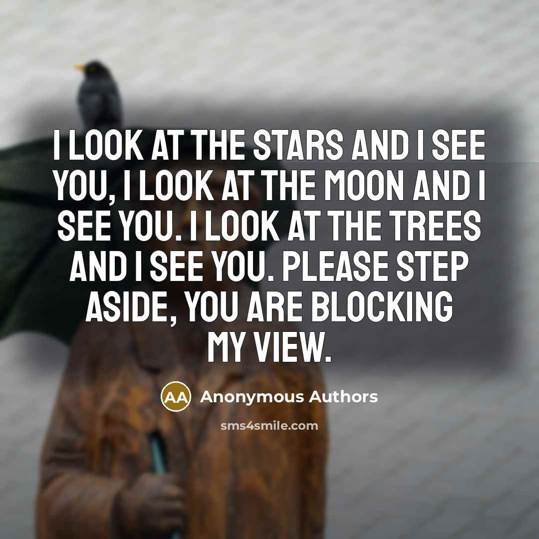 “I look at the stars and I see you, I…” quote by Anonymous Authors