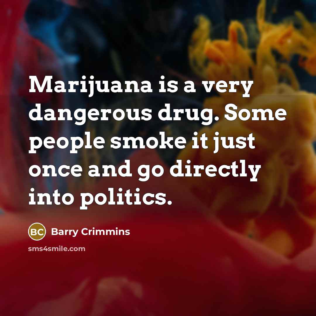 “Marijuana is a very dangerous drug. Some people smoke it…” quote by Barry Crimmins