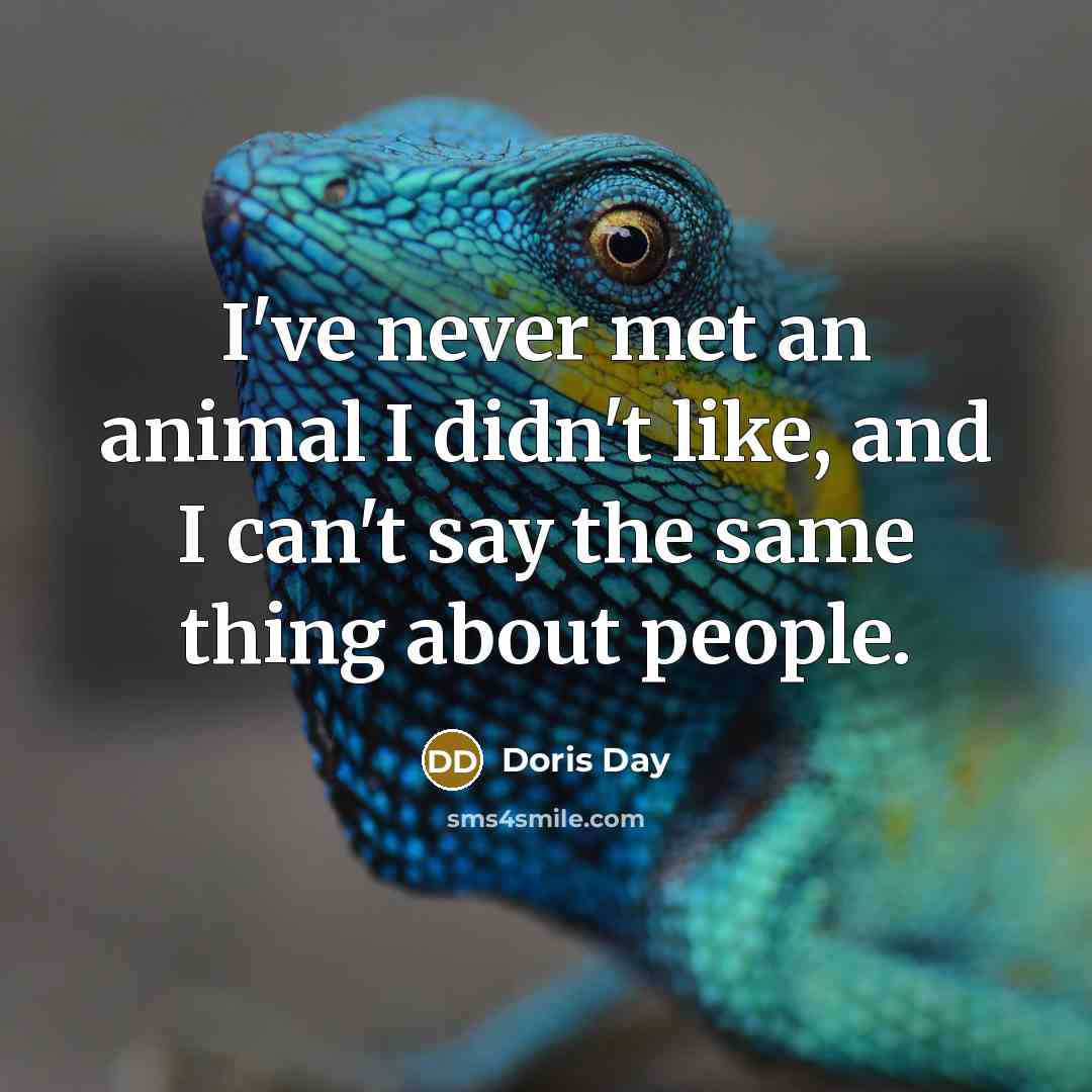 “I've never met an animal I didn't like, and I…” quote by Doris Day