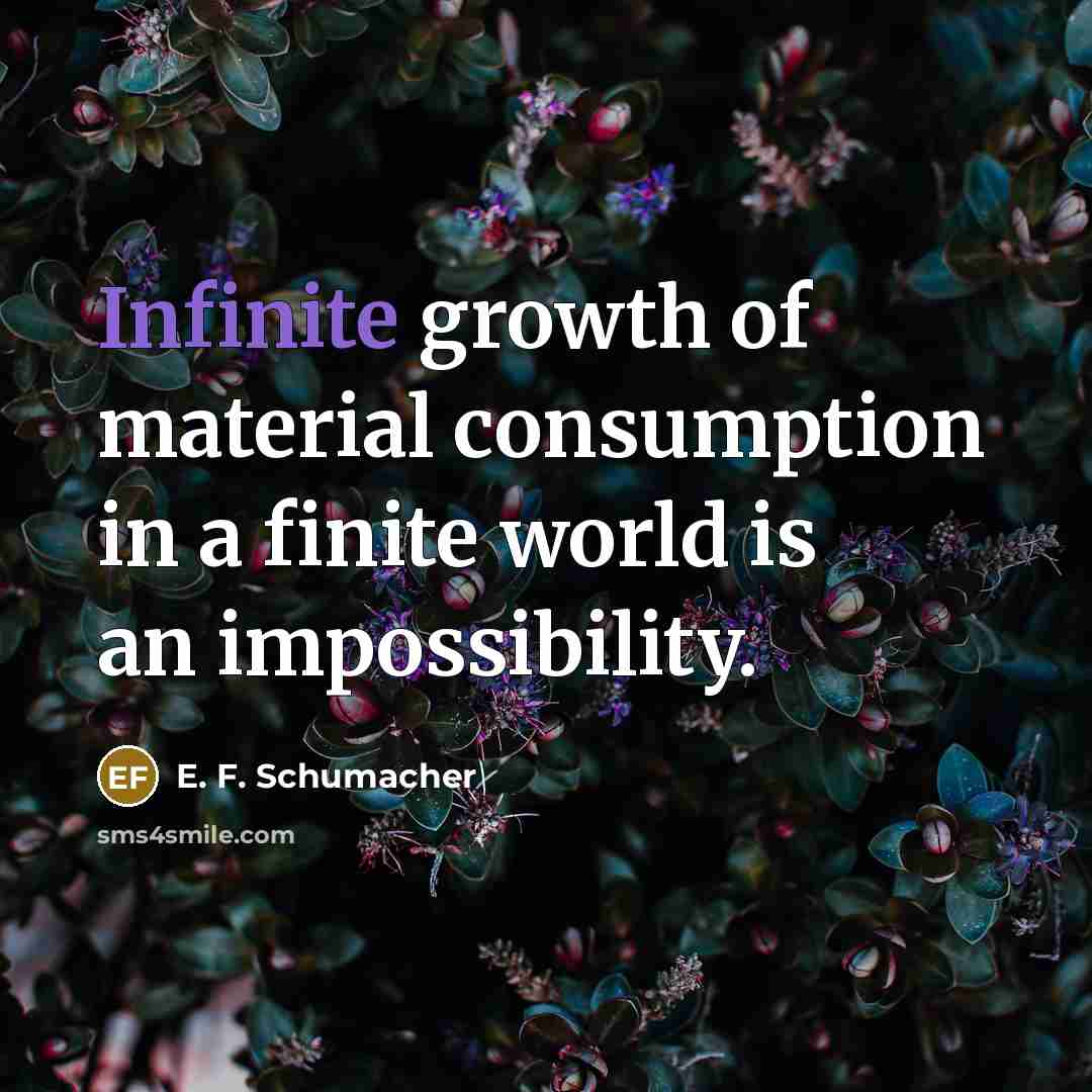 “Infinite growth of material consumption in a finite world is…” quote by E. F. Schumacher