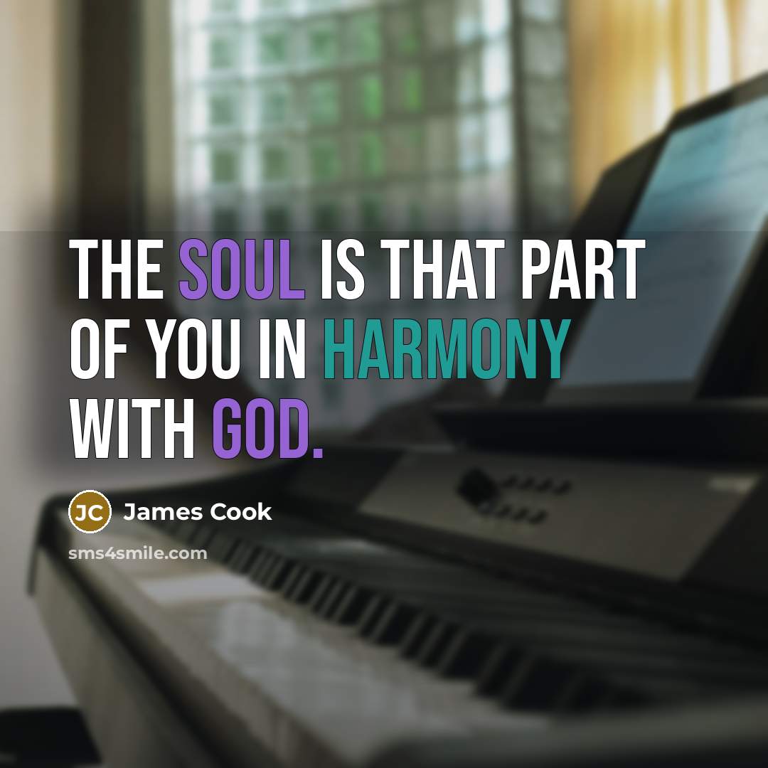 “The soul is that part of you in harmony with…” quote by James Cook