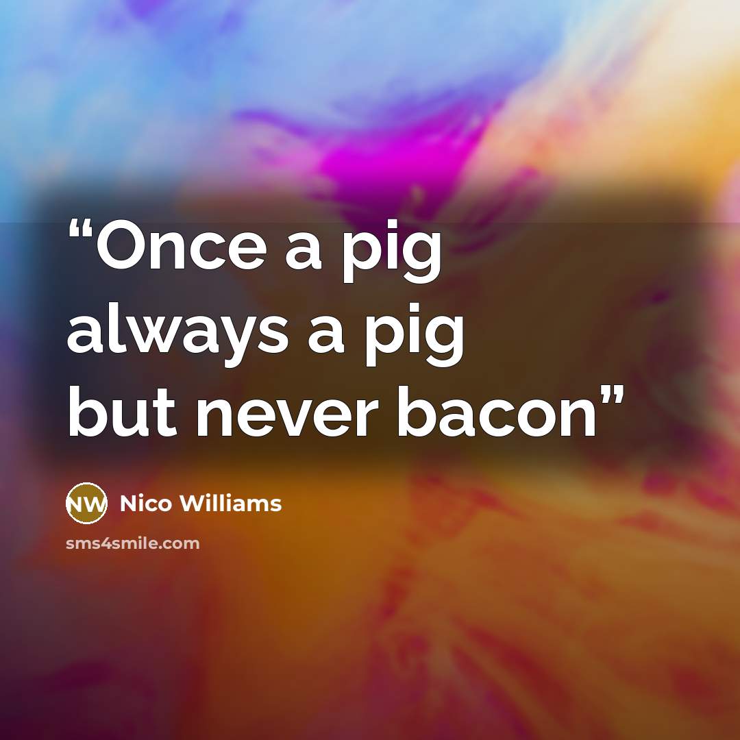 “Once a pig always a pig but never bacon” quote by Nico Williams