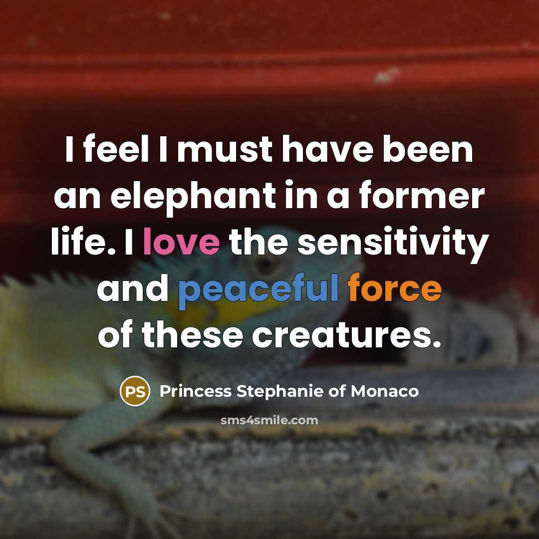 “I feel I must have been an elephant in a former life. I love the sensitivity and peaceful force of these creatures.” quote by Princess Stephanie of Monaco