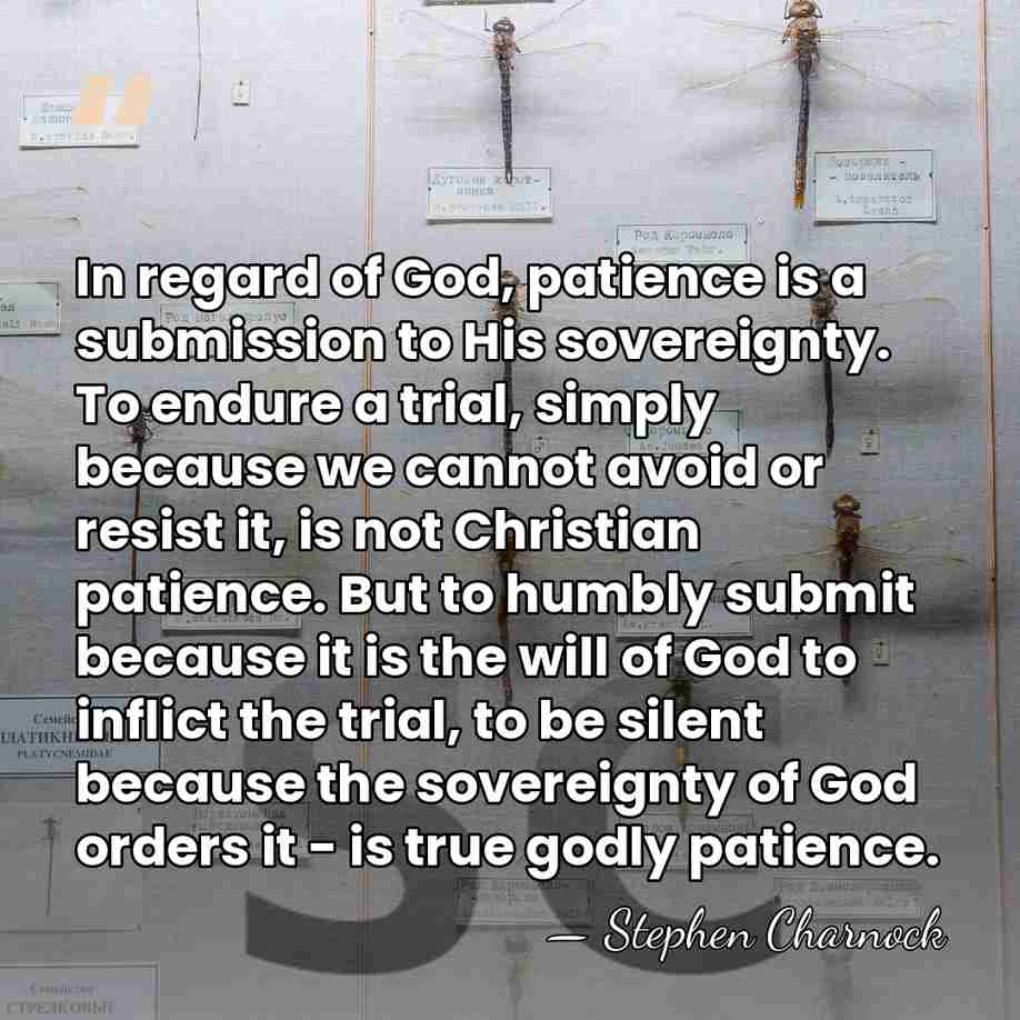 In regard of God, patience is a submission to His sovereignty. To&hellip; - Stephen Charnock