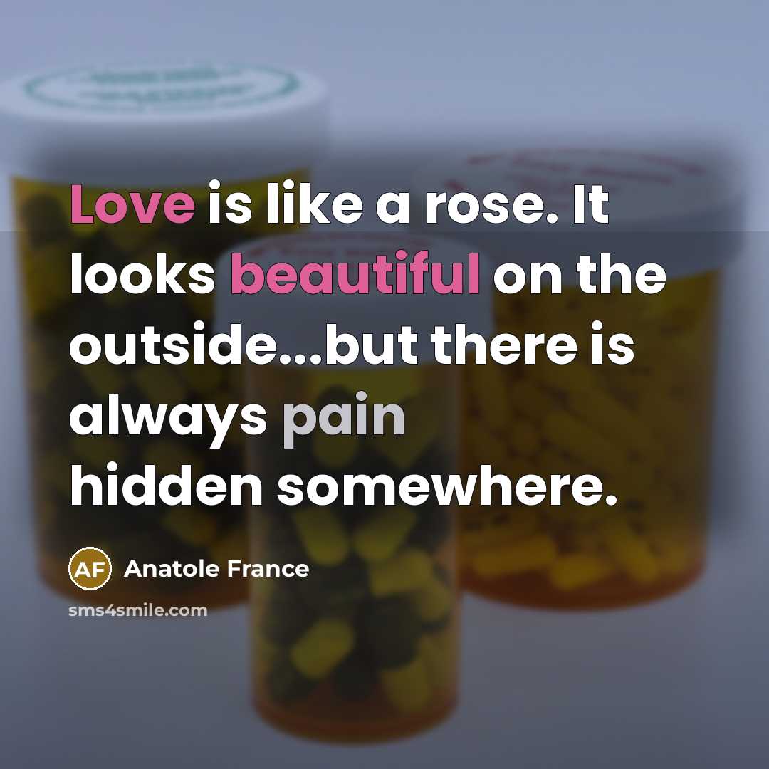 “Love is like a rose. It looks beautiful on the…” quote by Anatole France
