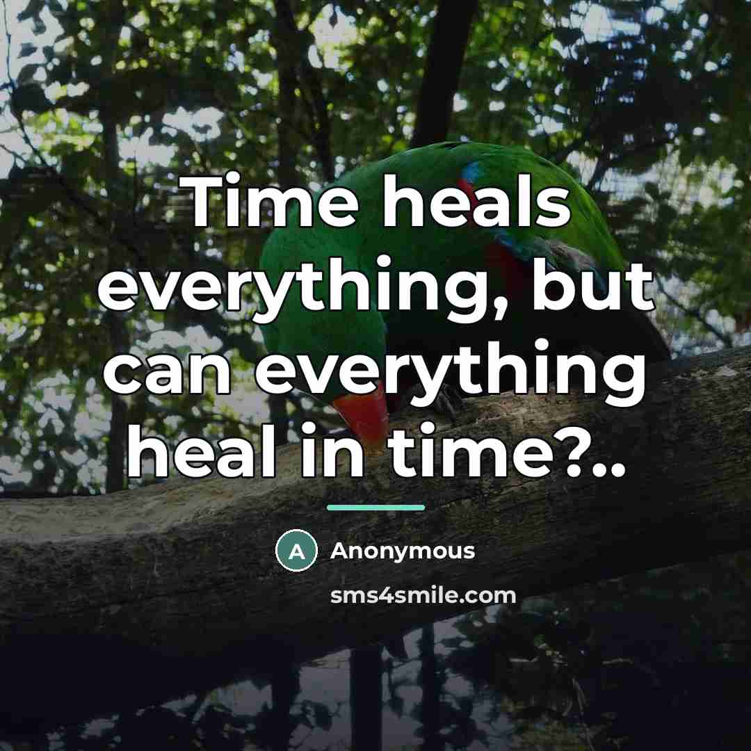 “Time heals everything, but can everything heal in time?..…” quote by Anonymous