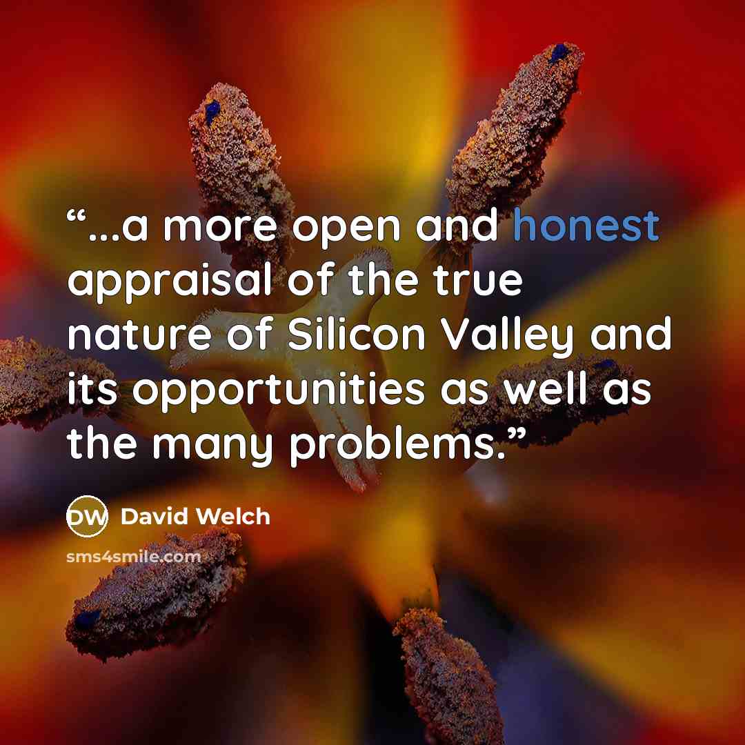 “...a more open and honest appraisal of the true nature of Silicon Valley and its opportunities as well as the many problems.” quote by David Welch