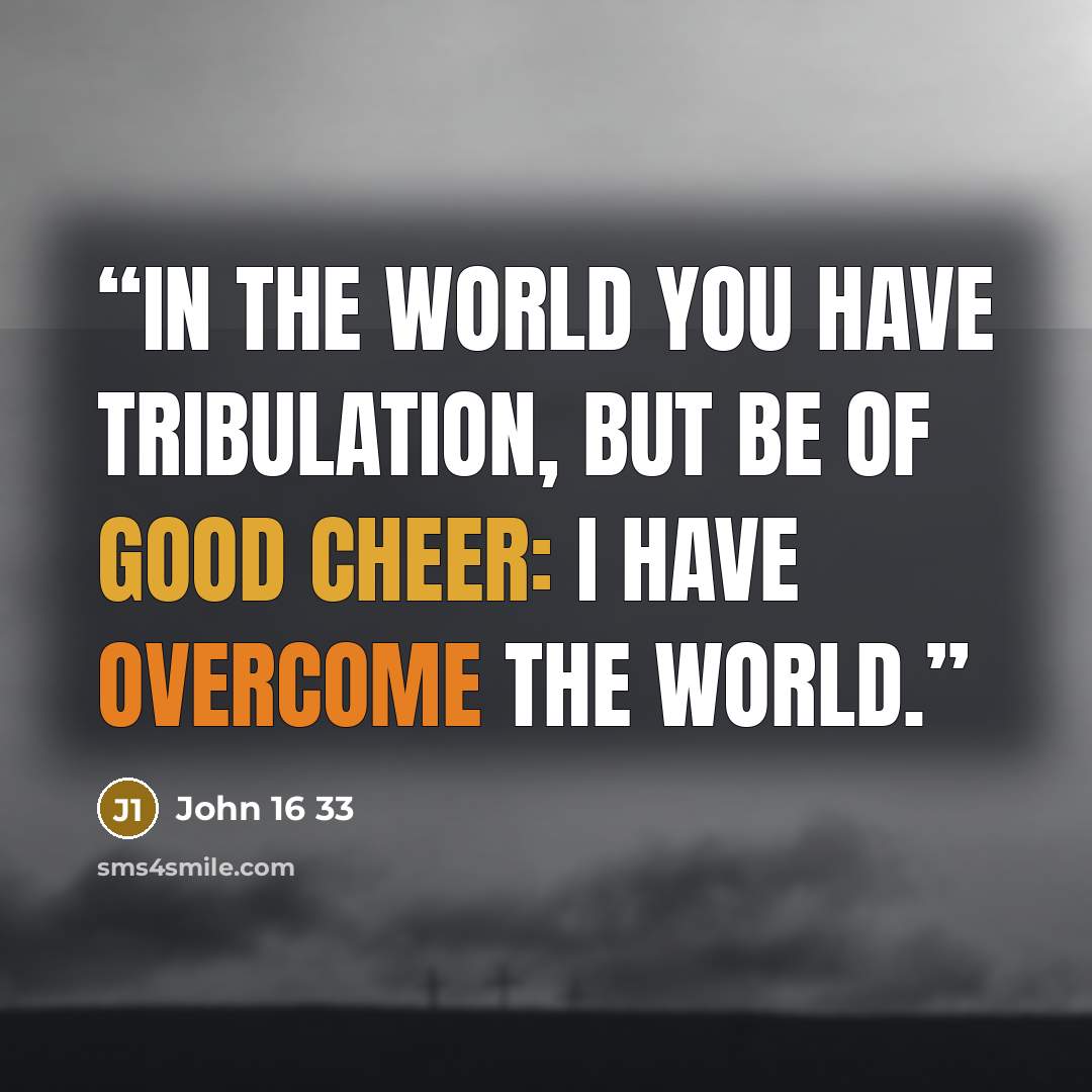 “In the world you have tribulation, but be of good cheer: I have overcome the world.” quote by John 16 33