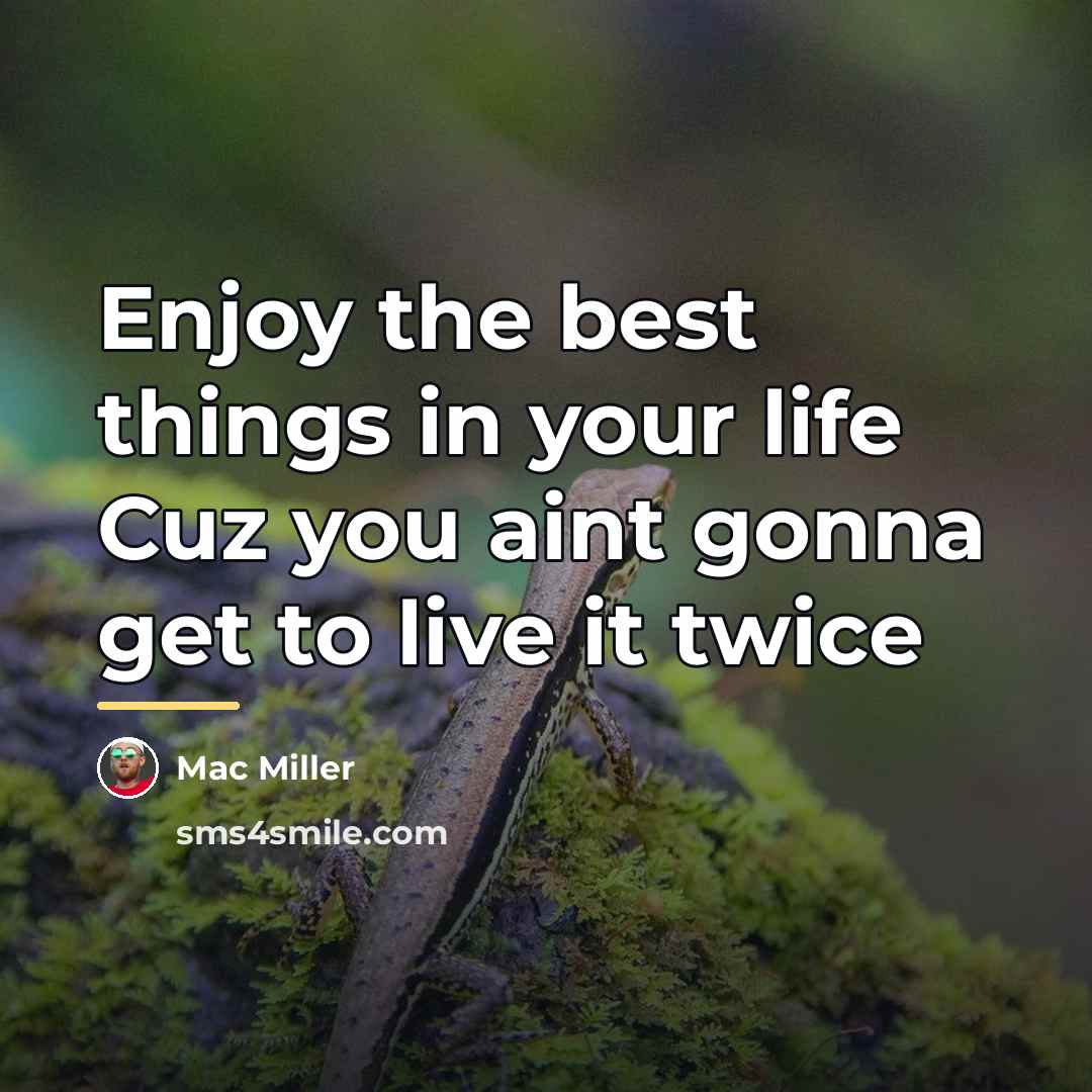 “Enjoy the best things in your life Cuz you aint…” quote by Mac Miller
