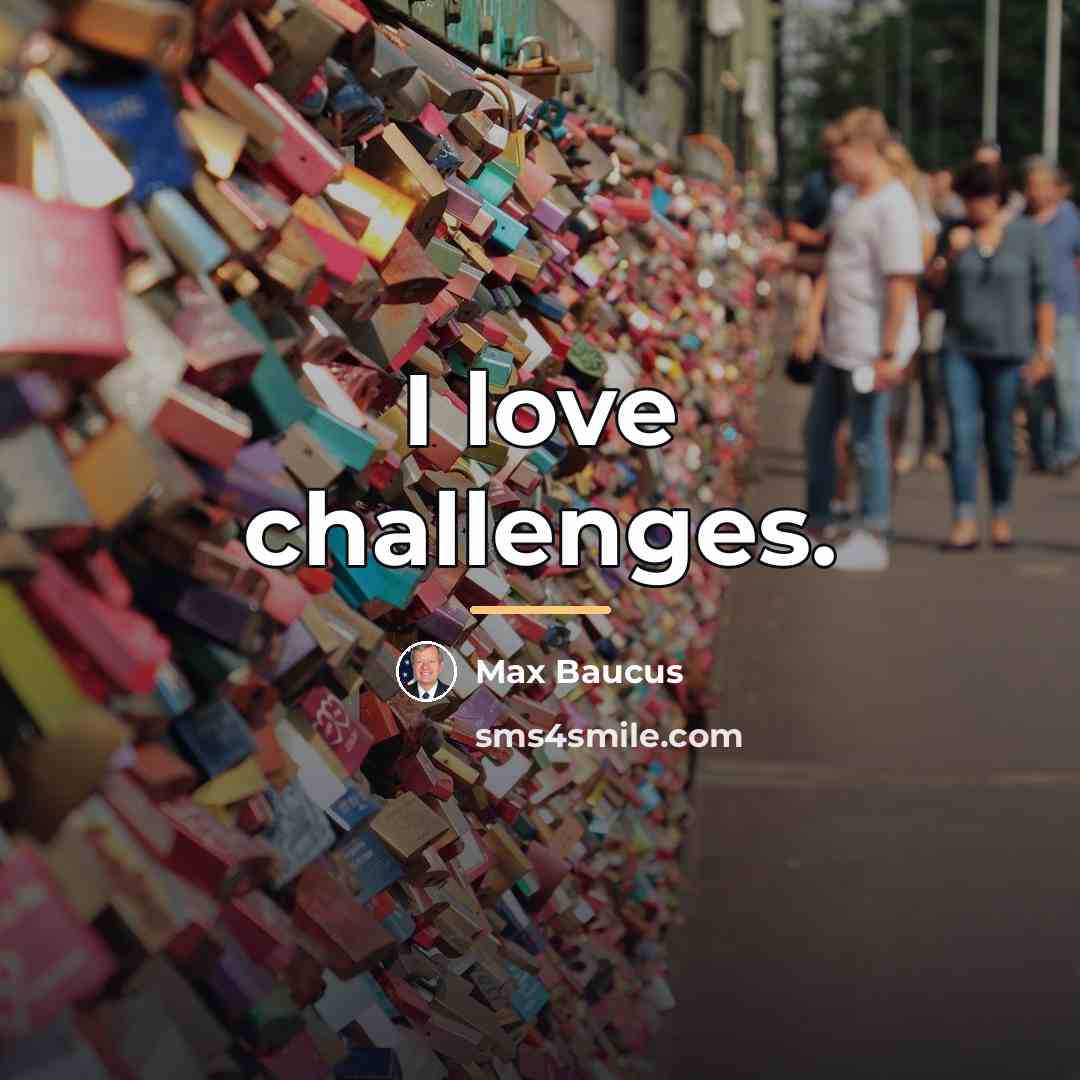 “I love challenges.…” quote by Max Baucus
