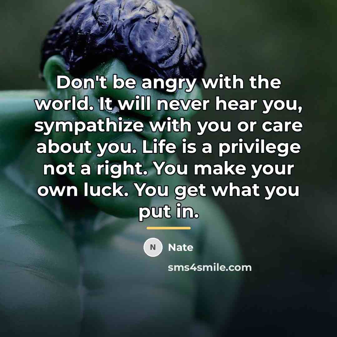 “Don't be angry with the world. It will never hear…” quote by Nate