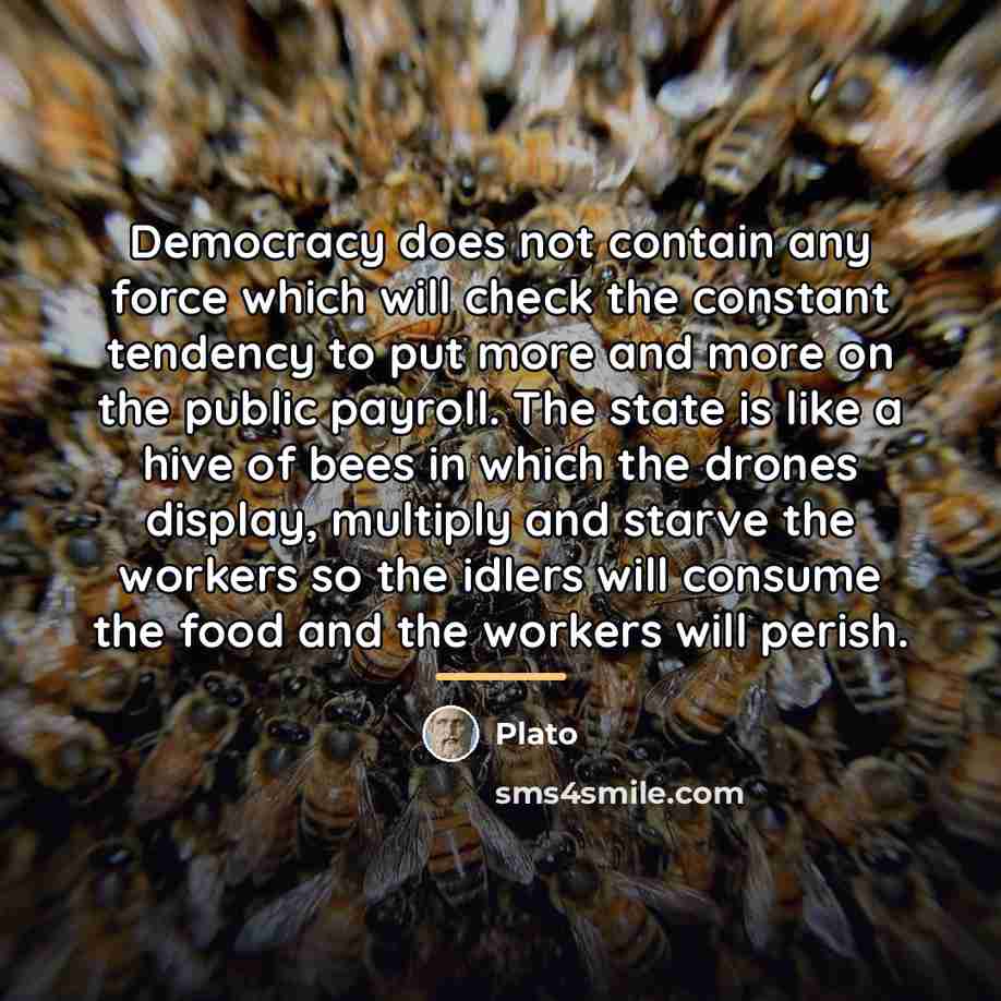 “Democracy does not contain any force which will check the…” quote by Plato