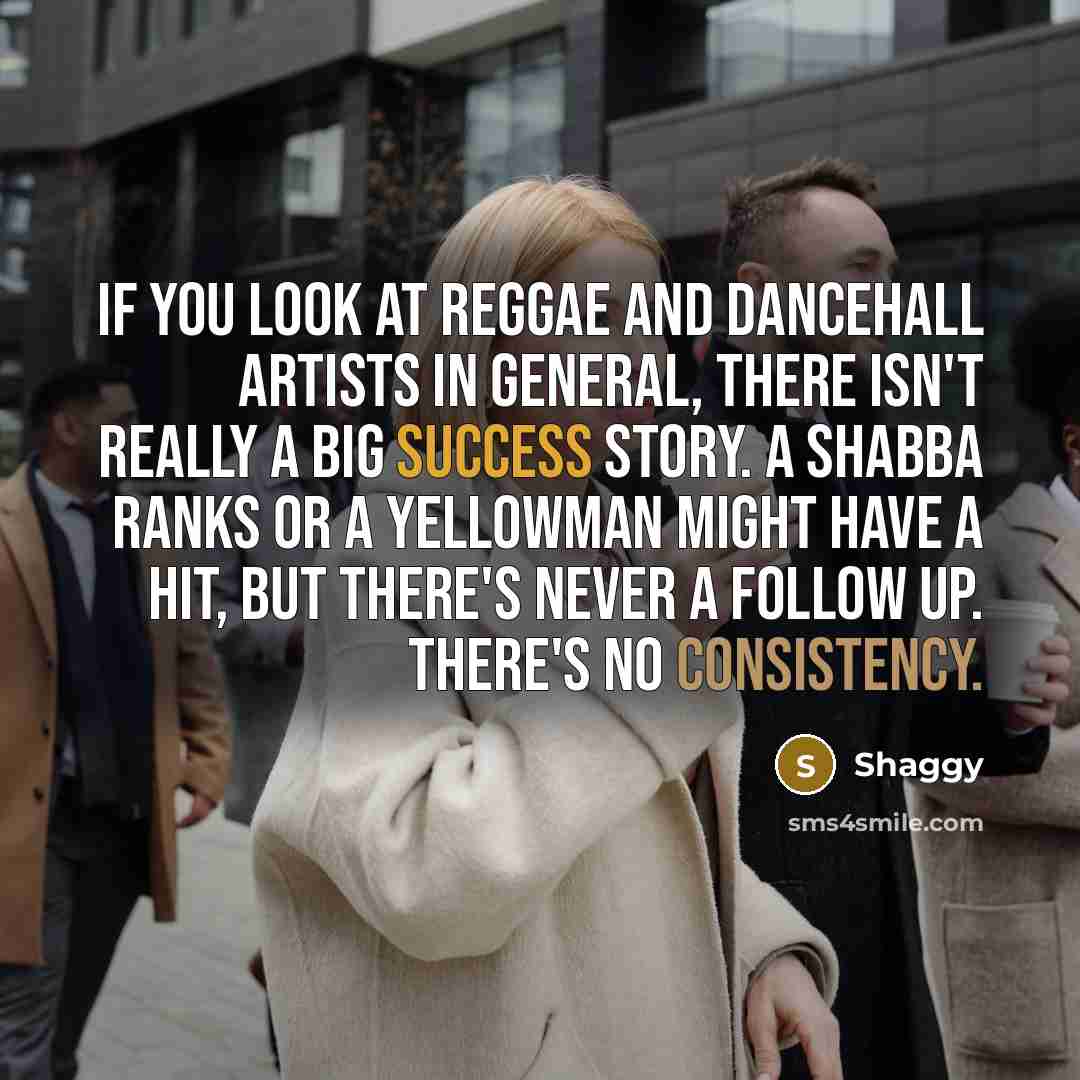 “If you look at reggae and dancehall artists in general,…” quote by Shaggy