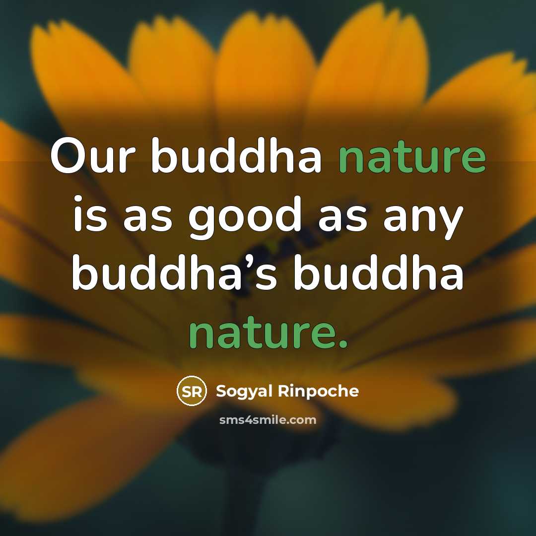 “Our buddha nature is as good as any buddha’s buddha…” quote by Sogyal Rinpoche