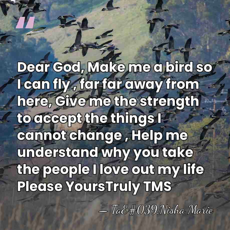 Dear God, Make me a bird so I can fly , far&hellip; - Ta'Nisha Marie
