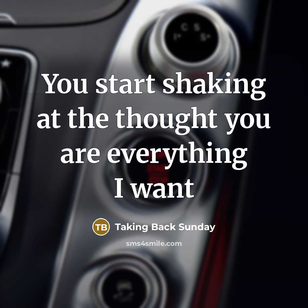 “You start shaking at the thought you are everything I…” quote by Taking Back Sunday