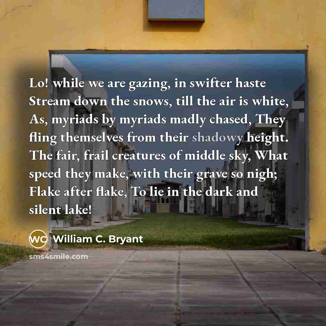 “Lo! while we are gazing, in swifter haste Stream down…” quote by William C. Bryant