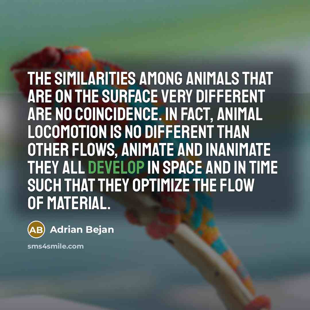 “The similarities among animals that are on the surface very…” quote by Adrian Bejan