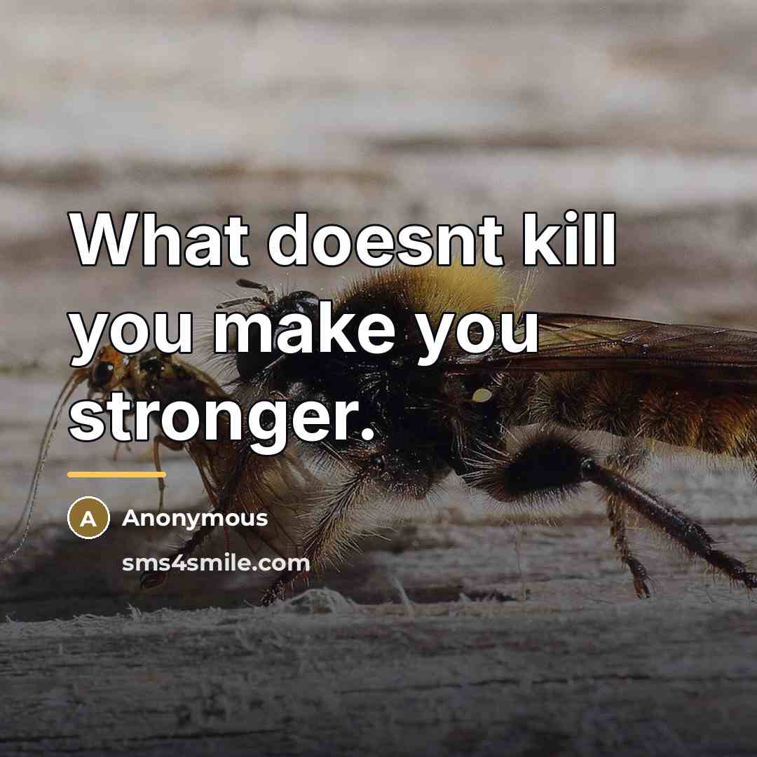 “What doesnt kill you make you stronger.…” quote by Anonymous