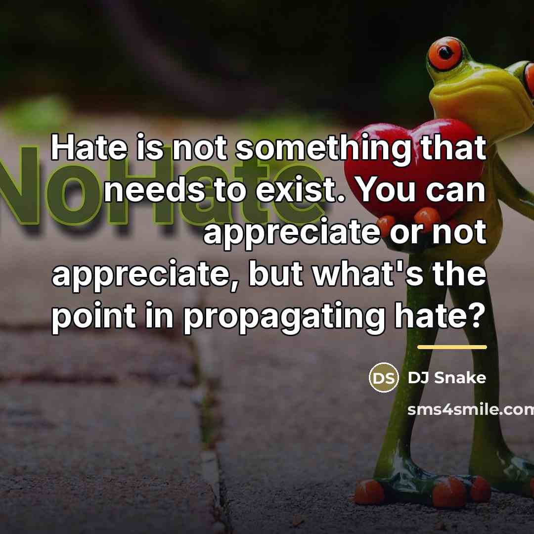 “Hate is not something that needs to exist. You can…” quote by DJ Snake