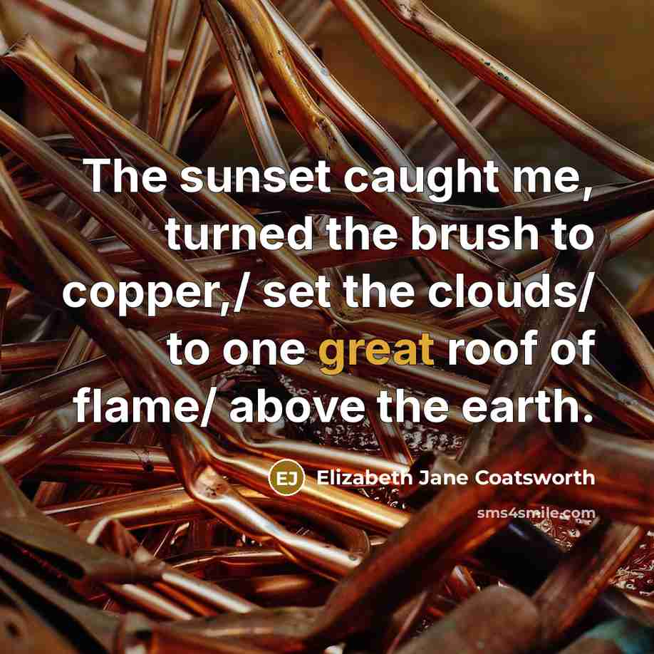 “The sunset caught me, turned the brush to copper,/ set…” quote by Elizabeth Jane Coatsworth