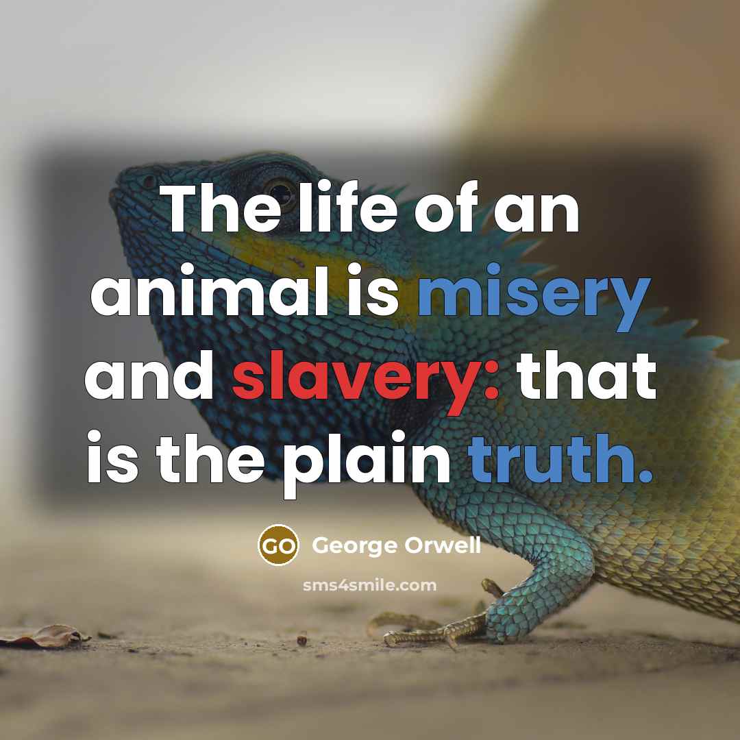 “The life of an animal is misery and slavery: that…” quote by George Orwell