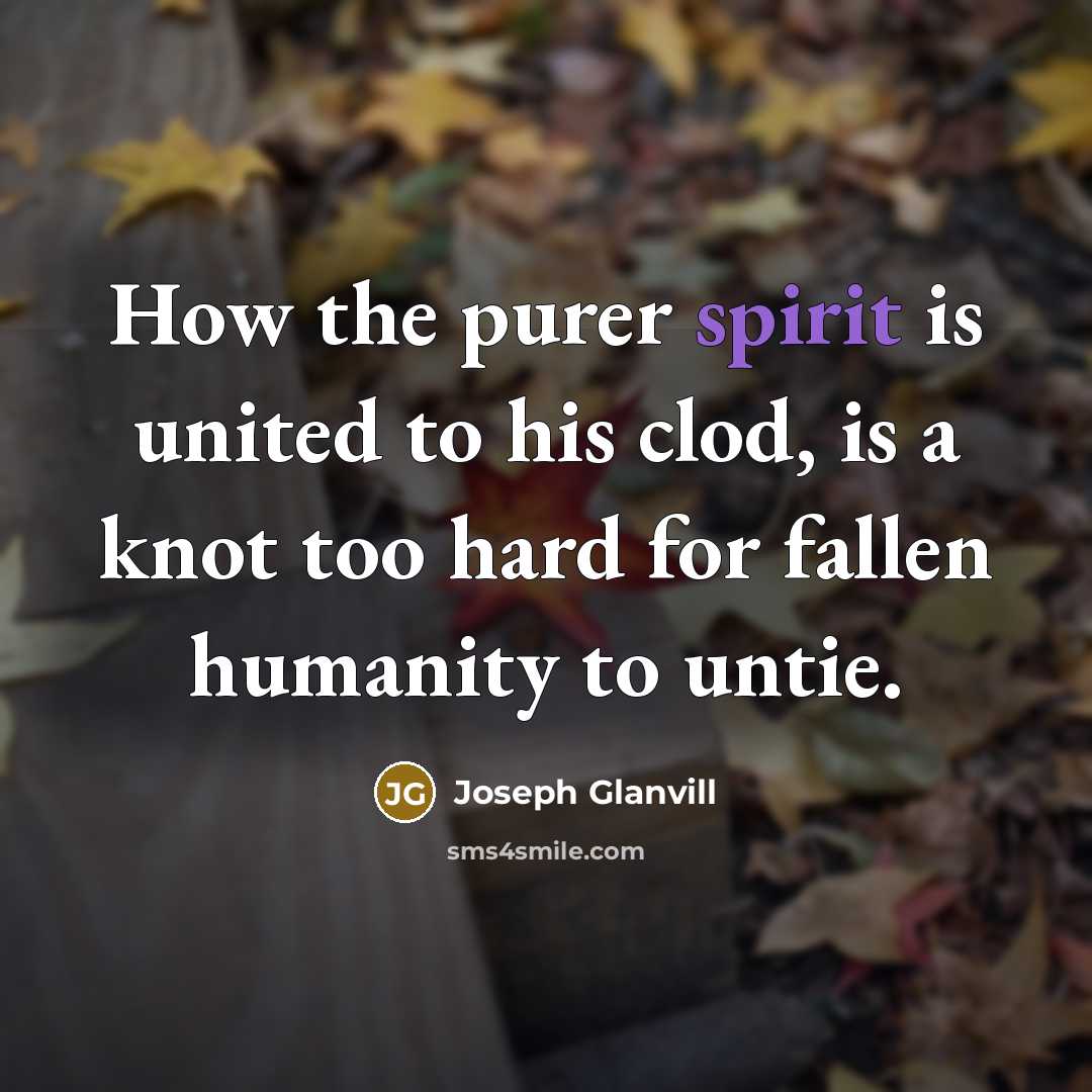 “How the purer spirit is united to his clod, is…” quote by Joseph Glanvill