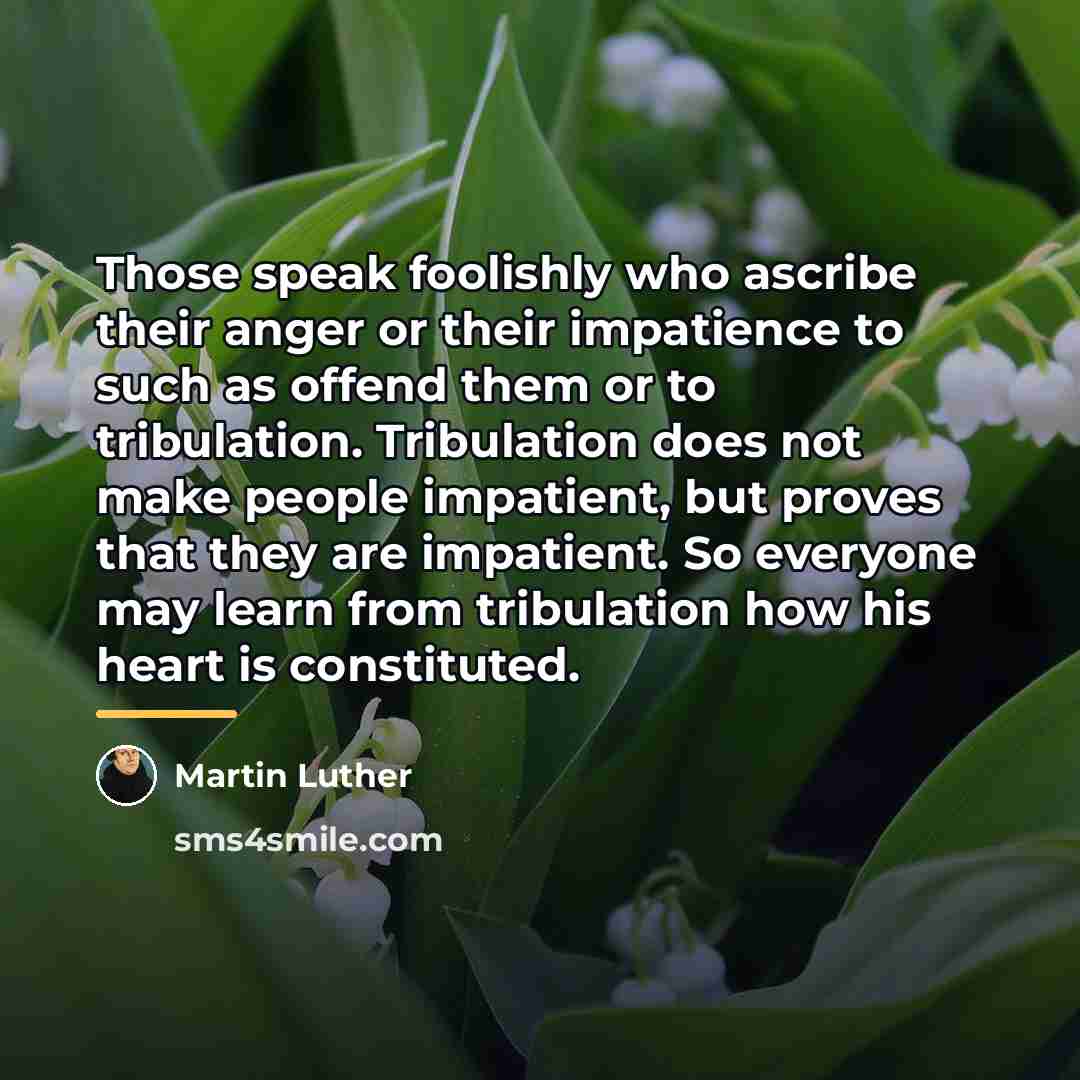 “Those speak foolishly who ascribe their anger or their impatience…” quote by Martin Luther