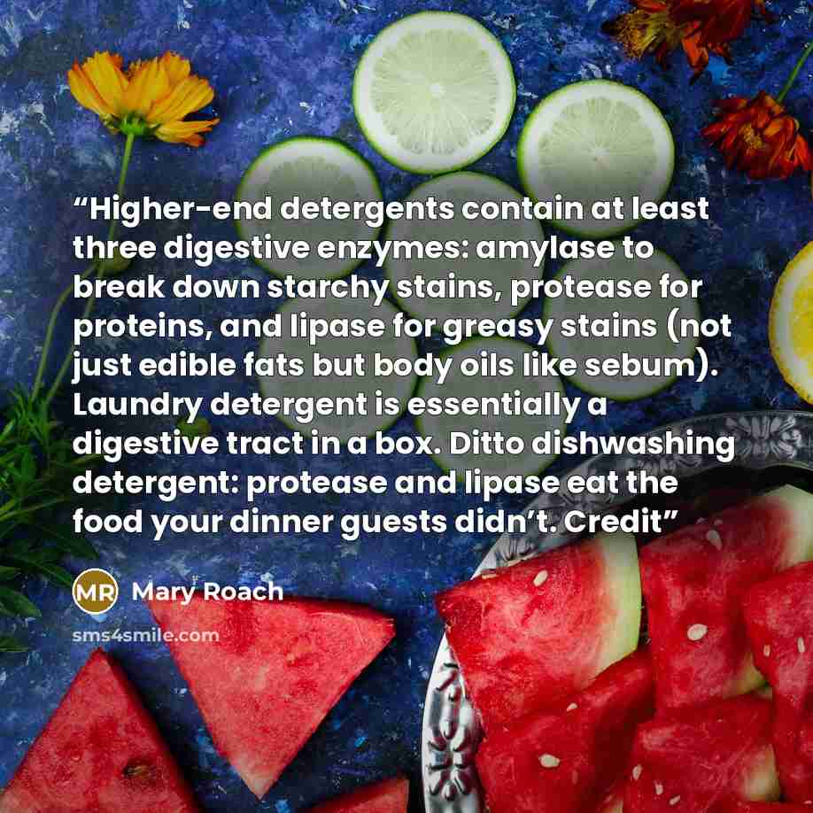 “Higher-end detergents contain at least three digestive enzymes: amylase to break down starchy stains, protease for proteins, and lipase for greasy stains (not just edible fats but body oils like sebum). Laundry detergent is essentially a digestive tract in a box. Ditto dishwashing detergent…” quote by Mary Roach