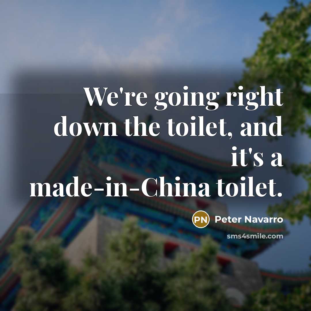 “We're going right down the toilet, and it's a made-in-China toilet.” quote by Peter Navarro